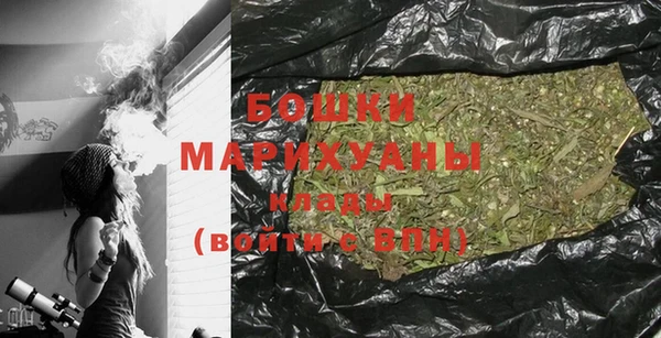 крисы Ельня