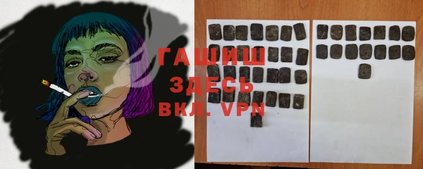 крисы Ельня