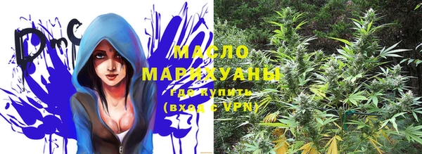 крисы Ельня