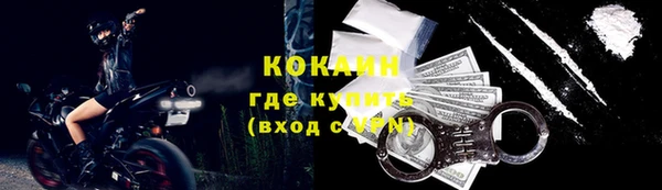 крисы Ельня