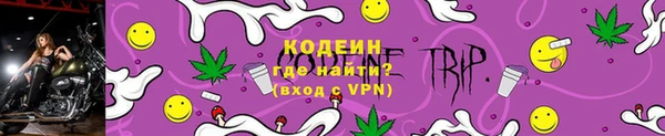 крисы Ельня