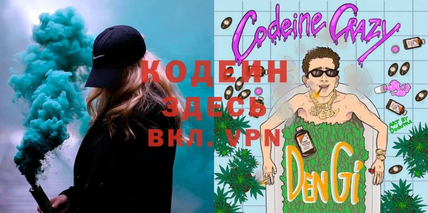 крисы Ельня