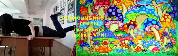 jwh Елабуга