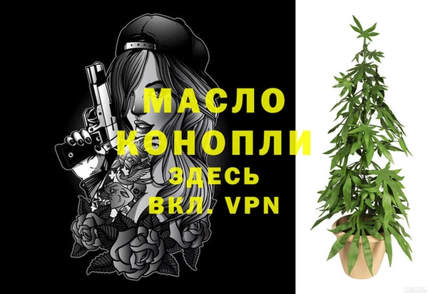крисы Ельня