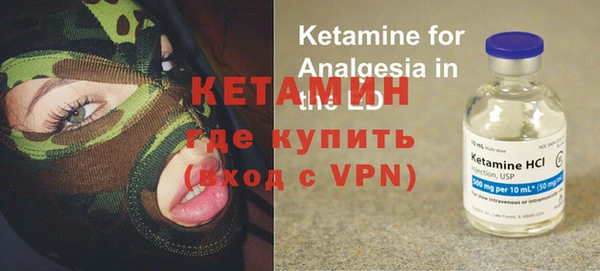 крисы Ельня